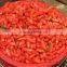 DRIED GOJI BERRIES 350 BERRY FRUIT 380, TIBET GOJI BERRIES, HIMALAYA GOJI BERRIES, NINGXIA ZHONGNING GOJI MANUFACT