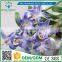2016 Wholesale Multicolor Artificial Flowers Lily Real Touch Bouquet Wedding Bridal Home Declarative flowers