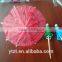 Custom Logo Bamboo Flag Skewers