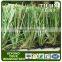 Mini Football Field Artificial Grass artificial turf for Football Pitch