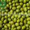 Food grade green mung beans(Heilongjiang)