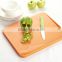 Plastic Multi-function Classification Cutting Board Injection Molding Chopping Board PP Material Chopping Board