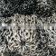 galvanized welded korean chain(china supplier)