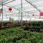 Warm-keeping Quilt for agricultural greenhouse