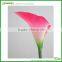 Silicon Flower Latex Flower Real Touch Calla Lily