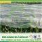 UV resistant breathable agriculture use pp non-woven fabric ground cover fabric