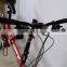 cheap folding bike/mini folding bike/China folding bike (FD-20022)