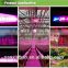 LED grow light, 3 modes for 3 growth stage. suitable for flower room, indoor garden. Saga Sco-560w