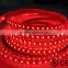 China Supplier led strip rope light RGB Red Glue Waterproof Epistar DC 24V IP68 smd 3528 60leds LED strip light lighting