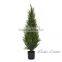 Popular sale artificial pine tree topiary tree Christmas tree lucky plant with favorable price