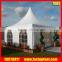 5x5m Chinese PVC pagoda tent garden gazebo with curtains