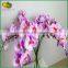 novelty 2015 china artificial flowers orchid for home garden