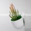 Flora Bunda Wholesale Artificial Potted Succulent Plants in glass pot