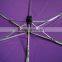 19 Inch LED Umbrella,New Design Umbrella,Umbrella Factory