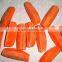 Frozen Mix Vegetables (IQF Beas -IQF peas- IQF Carrots... ...)