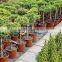 Double color plastic flower pots/plastic garden flower pot