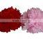 Pink Dot tissue paper pom poms flower balls