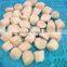 frozen sea scallop shell meat for sale
