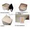Professional manufacturer for garden waste bin