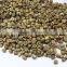 ROBUSTA COFFEE BEANS SCR 13 UNWASHED (website: davis.thong, mobi: +84 986 778 999)