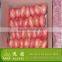 Fresh Yellow/Red Onion Supplier/Producer/Farmer