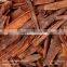 Chinese Cinnamon Cassia Tube
