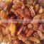 Golden yellow color raisin