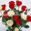 Multi-Colored Color and Fresh Cut Flowers Processing Type Cheap Red Rose