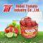 Canned Tomato Paste Tin Tomato Paste Sachet Tomato Paste Tomato Sauce Tomato Puree Tomato Ketchup