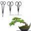 Made in Japan authenticity-oriented Bonsai tool kit