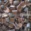 RAW SQUARE CUT CASSIA/CINNAMON WITH SKIN