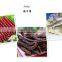 Commercial food dehydrator for fruit and vegetable