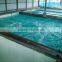 ZH Salt Water Protein Skimmer for Recirculating Aquaculture System