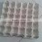 Pulp Molded Egg Box egg tray