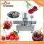 hot hot Full automatic industrial cherry sauce maker machine high viscosity Production Line cheery paste