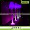 PE plastic rgb 16 colors floor lamp with battery for decoration