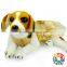 lovable dogs dog clothes, Cute to Die Hot PINK Pet clothing ,pet clothing dog clothes