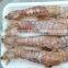 Frozen Cooked Squilla Scale-on