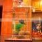 my fun fish clean tank with LED