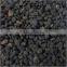 Best Quality Babchi seed