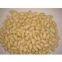 Blanched peanuts