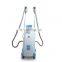Renlang Vertical Fat Reduction Fat Freezing body slimming Machine For Salon