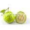 THE BEST SELLER FRESH GUAVA ORGANIC FROM VIET NAM