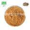 SCIYU Echinacea purpurea extract Cichoric acid 1%-4%  polyphenols 4%-7% HPLC UV
