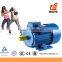 Cast Iron Low Noise Heavy Duty Small Powerful Electric Motors 220 v Electric Motor
