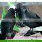 Halloween Feathered Black Raven Crow Bird Raven Fancy Party Home Decor