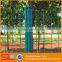 Welded Wire Mesh Roll Garden Fencing