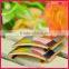 fashion decorative colorful women metal shoe clips shoe decorations WSC-390