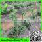Supper hdpe tomato /cucumber plant support net