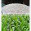 Manufacturer Good price ZnSO4.H2O Fertilizer From China